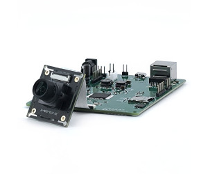 SAV531 AI SoC Project Development - ECS531P0AI