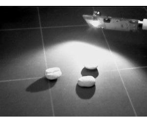 Near Infrared Laser Module