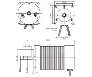 Brushless DC Motor 36V