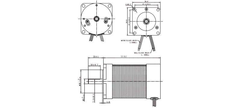 Brushless DC Motor 36V