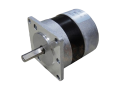 Brushless DC Motor 36V
