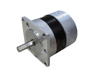 Brushless DC Motor 36V