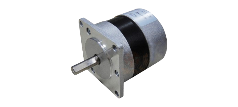 Brushless DC Motor 36V